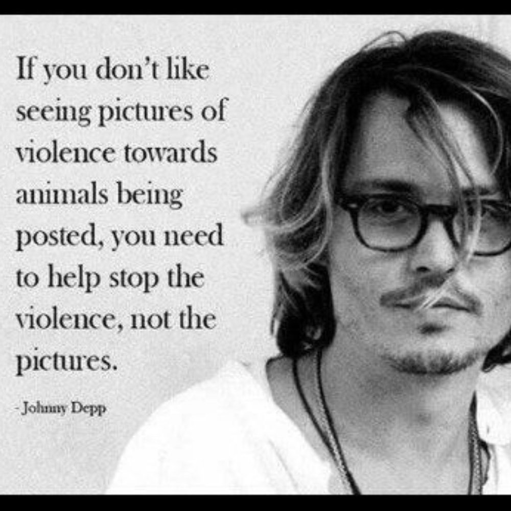 If we can live well without harming other living beings, why wouldn't we? - Picture 5 of 15